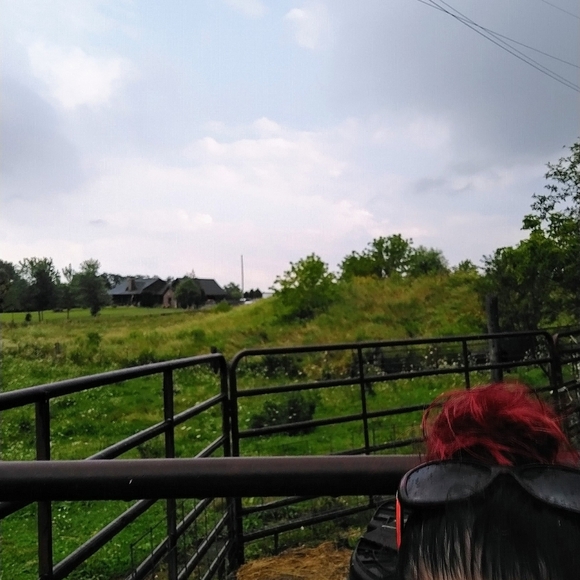 Meet your Posher, Vikki - Picture 6 of 12